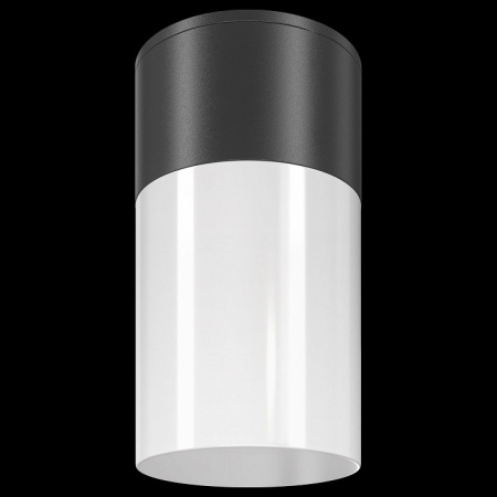 Потолочный светильник Outdoor O418CL-01B Maytoni Willis