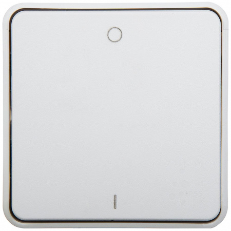 Legrand Plexo Белый Выключатель 2-полюсный