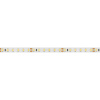Arlight Светодиодная лента RT 2-5000 24V White6000 2x (3528, 600 LED, LUX) (9.6 Вт/м, IP20)