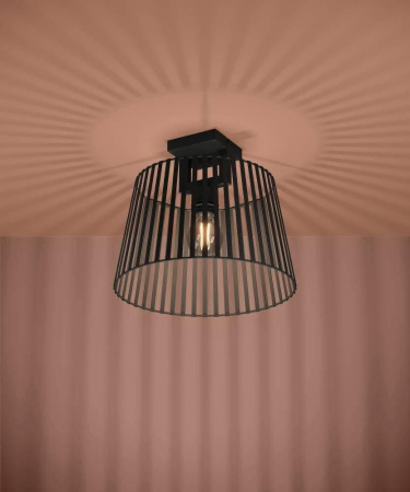 Потолочный светильник Eglo Bogota 390001