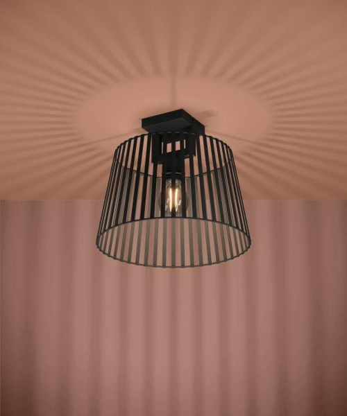 Потолочный светильник Eglo Bogota 390001