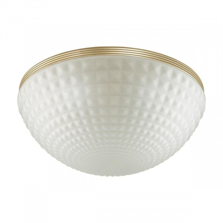 Потолочный светильник Odeon Light Modern Malaga 4936/4C
