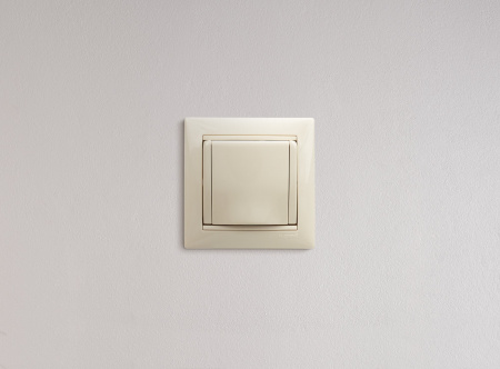 Legrand Valena Крем Розетка 1-ая с/з с крышкой