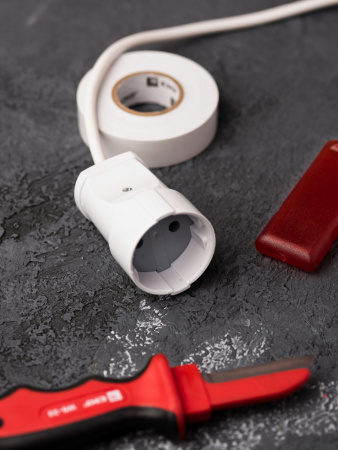 EKF PROxima Гнездо штепсельное б/з бел. 10А 250В