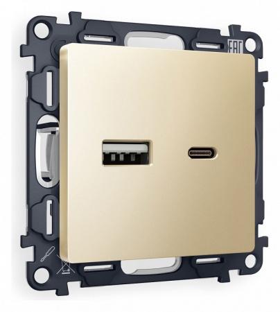 Комплект механизма розетки ALFA MA611010 Шампань 2USB A+C 20W быстрая зарядка QUANT