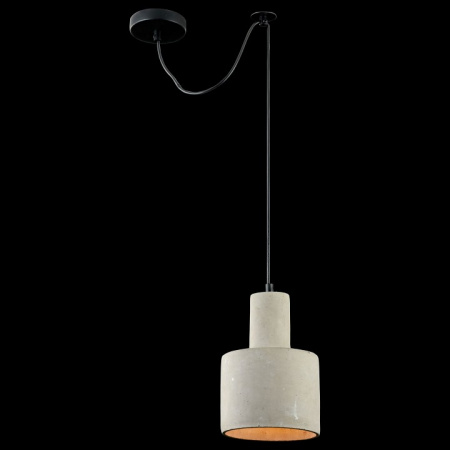 Подвесной светильник T439-PL-01-GR Maytoni Broni