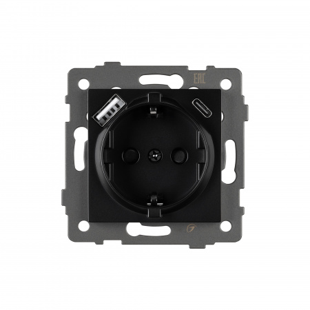 Arlight Механизм розетки с USB зарядкой SCT-MUAC-PL-BK-V (250V, 16A) (-)