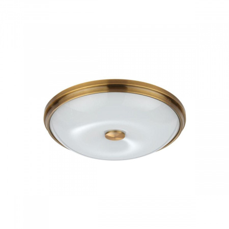 Потолочный светильник Odeon Light Walli Pelow 4956/4