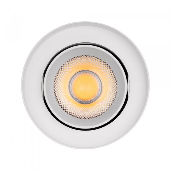 Arlight Светильник SP-FOCUS-R110-18W Day4000 (WH, 36 deg, 230V) (IP54 Металл, 5 лет)