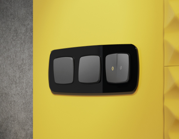 Лицевая панель OMEGA (Антрацит серый) для 2-клавишных выключателей с подсветкой QUANT OP6540