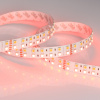 Arlight Светодиодная лента RT 2-5000 24V RGB-Day 2x2 (5060, 720 LED, LUX) (32 Вт/м, IP20)