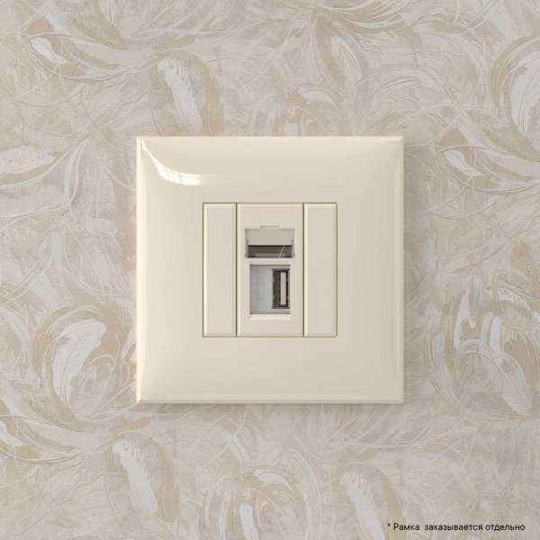 DKC Avanti Ванильная дымка Розетка одинарная тип А-А USB 2.0