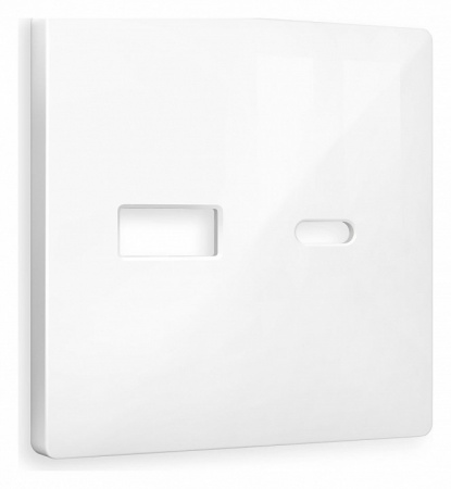 Лицевая панель ALFA (Белый глянец) для розетки 2USB тип A+C QUANT AP1110