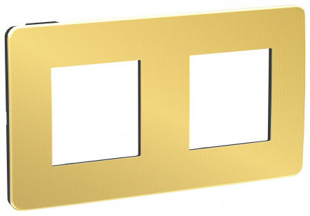 SE Unica Studio Золото/Антрацит Рамка 2-ная