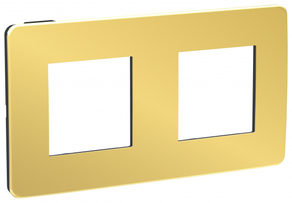 SE Unica Studio Золото/Антрацит Рамка 2-ная