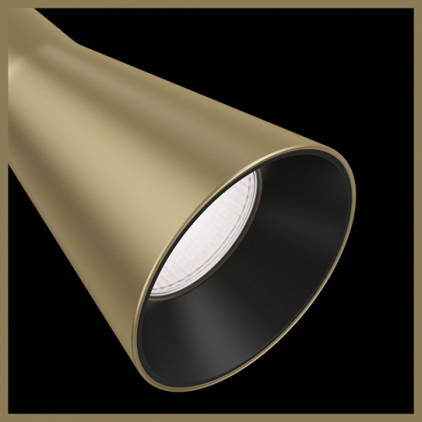 Потолочный светильник Maytoni Ceiling & Wall C061CL-01MG Maytoni Virar