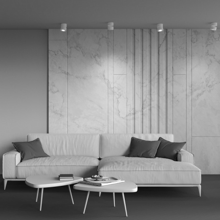 Потолочный светильник Ceiling & Wall C084CL-15W3K-W Maytoni Triac