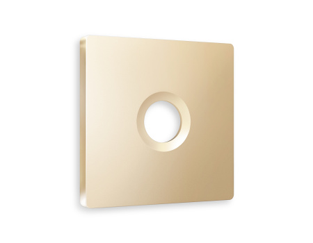 Лицевая панель ALFA (Шампань) для TV розетки QUANT AP6130