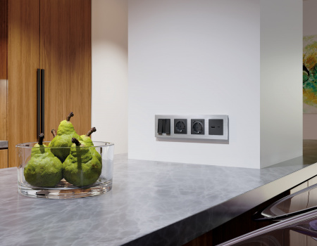 Рамка ALFA Platos (Серебро Металл шлифованный) 4-ая AF550104