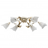 Потолочная люстра MW-Light Восторг 242017406