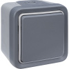 Legrand Plexo Серый Переключатель 1-клавишный накладной, 10А, в сборе IP55