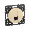 Legrand Celiane Беж Накладка компьютерной 1-ой розетки