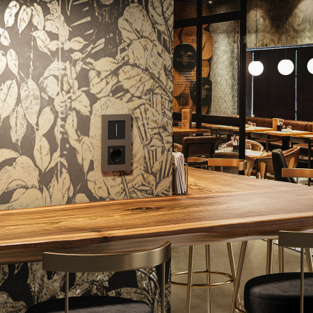 Рамка из поликарбоната на 2 поста Slab бронза софт W0022963