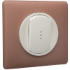 Legrand Celiane Мех выключателя 2 (1) мод