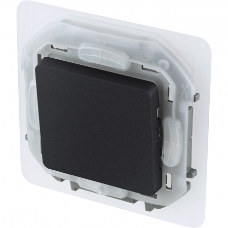 Legrand INSPIRIA Антрацит Переключатель IP44 10 AX - 250 В