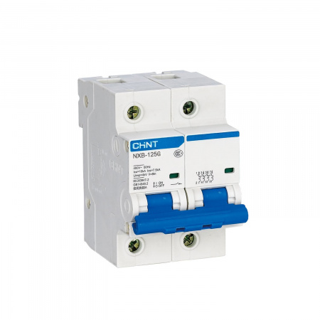 CHINT Авт. выкл. NXB-125 2P 125A 10кА х-ка C (R)