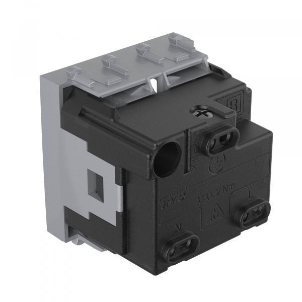 DKC Avanti Закаленная сталь Розетка 2P+E со шторками 2 модуля