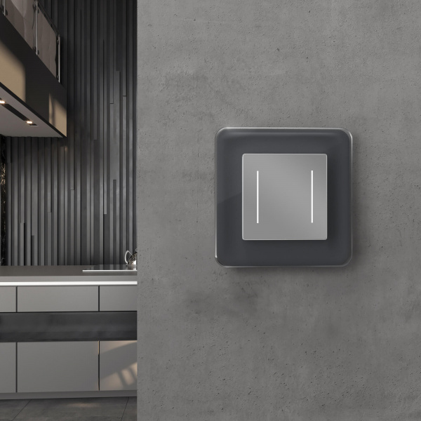 Рамка из стекла на 1 пост Elite графит W0012440