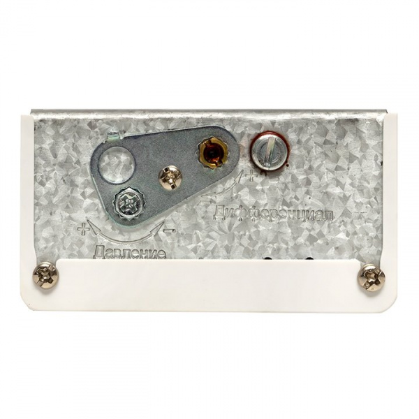 EKF PROxima Реле избыточного давления RVG-20-1,6 (1,6 МПа)