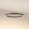 Светильник SP-CIRCLE-HANG-O3535-D900-55W Warm3000 (RAL9005, 120 deg, 230V) IP40 LED (Arlight, Алюминий)