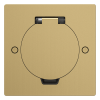 Лючок Surface 2 мод. (1 мод. 45х45 мм.), круглая крышка, зотоло, IP44