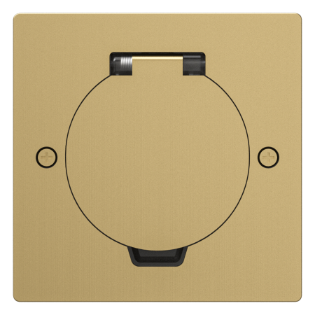 Лючок Surface 2 мод. (1 мод. 45х45 мм.), круглая крышка, зотоло, IP44