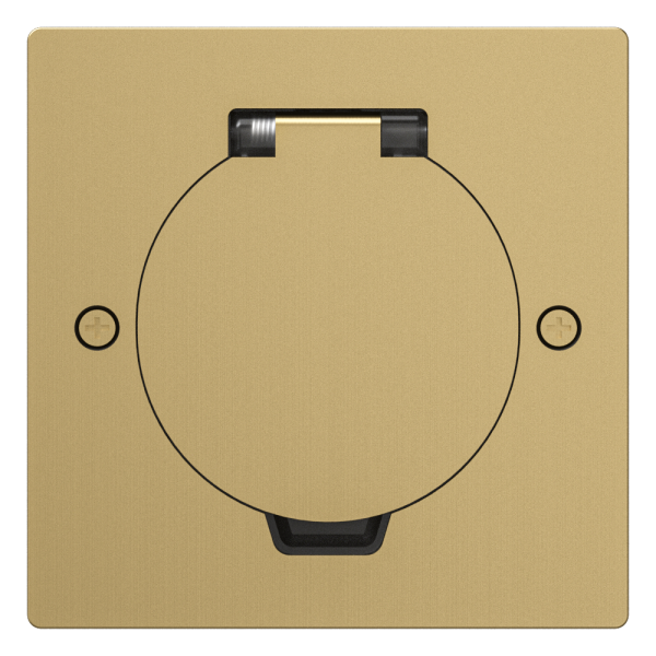 Лючок Surface 2 мод. (1 мод. 45х45 мм.), круглая крышка, зотоло, IP44