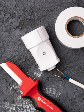 EKF PROxima Гнездо штепсельное б/з бел. 10А 250В