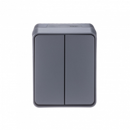 SE AtlasDesign Profi54 Наруж Антрацит Выключатель 2-клавишный 10 АХ