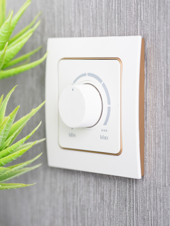 EKF PROxima Стокгольм Белый Линяя шампань Рамка 1-ая