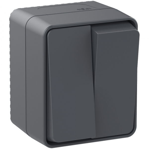 SE AtlasDesign Profi54 Наруж Антрацит Выключатель 2-клавишный 10 АХ