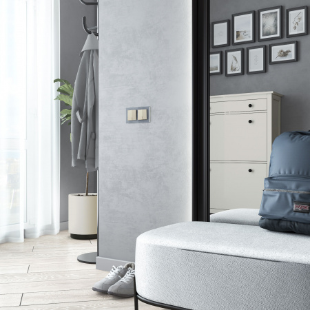 Рамка из стекла на 2 поста Favorit серый W0021115