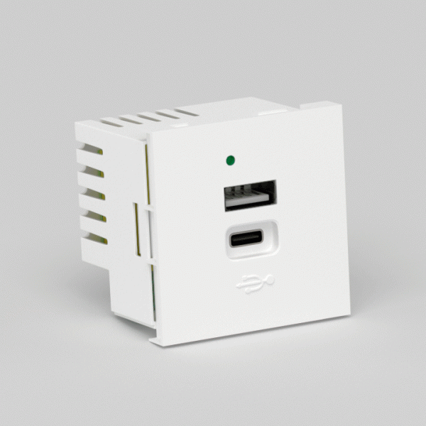Donel USB зарядное устройство, 4.2A , Type A + C, 2 мод., бел. (45х45мм), DUSB4200WCF