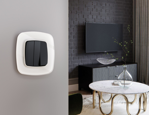 Рамка OMEGA Radian (Белый Стекло органическое) 4-ая OF320104