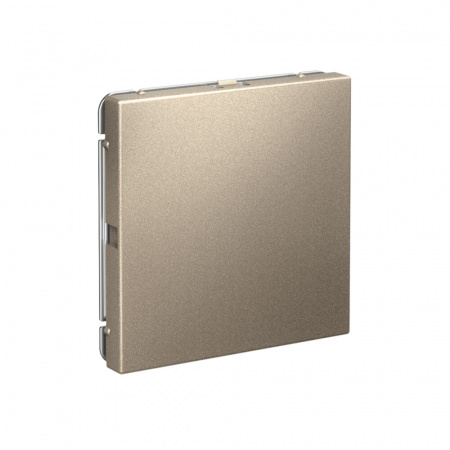 Systeme Electric ArtGallery Шампань Заглушка без суппорта для многопостовых рамок Systeme Electric ArtGallery Шампань Заглушка без суппорта для многопостовых рамок