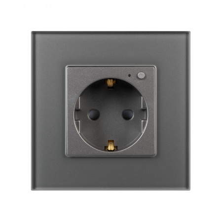 Arlight Розетка электрическая с Zigbee управлением SCT-OMALI-EUZB1-PL-GR (240V, 16A, Zigbee) (-)