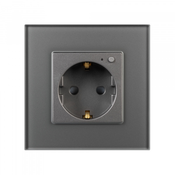 Arlight Розетка электрическая с Zigbee управлением SCT-OMALI-EUZB1-PL-GR (240V, 16A, Zigbee) (-)