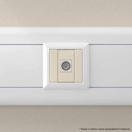 DKC Avanti Ванильная дымка ТВ розетка оконечная 1 модуль
