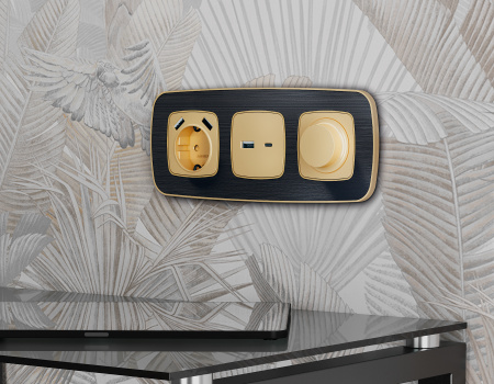 Рамка OMEGA Coint (Черный Стекло органическое/Шампань) 4-ая OF640544