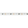 Arlight Лента герметичная DMX-PFS-B60-12mm 12V RGB-PX3 (14 W/m, IP68, 5060, 5m) (бегущий огонь)